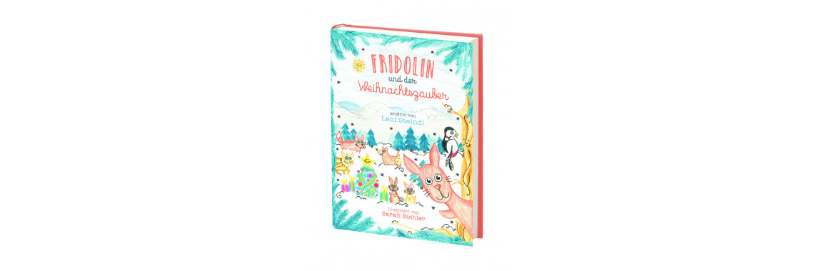 Kinderbuch "Fridolin und der Weihnachtszauber"